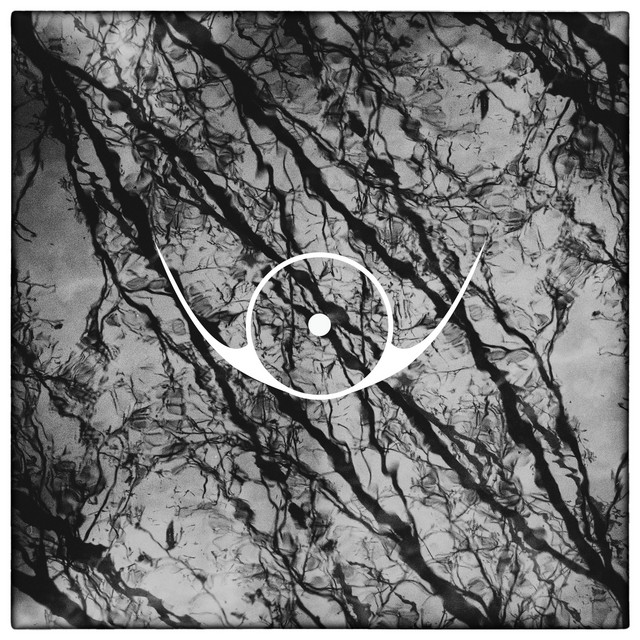 Shallow Waters