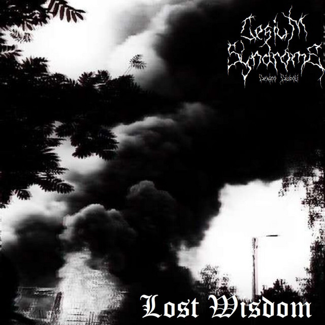 Lost Wisdom (Burzum Tribute)
