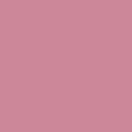 The Puce Album