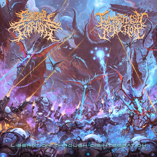 Liberation Through Disintegration (Split)