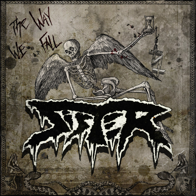 The Way We Fall