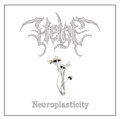 Neuroplasticity