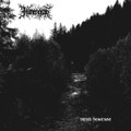 Void Vestige