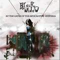 At the Gates of the Apocalyptic Mysteria