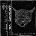 In memory of the cat whose name was Cat