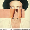 Troubles Of The Brain EP