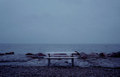 Empty Spaces