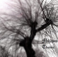 The Forest Bleak