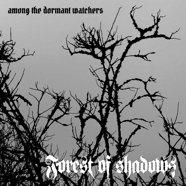 Among the Dormant Watchers