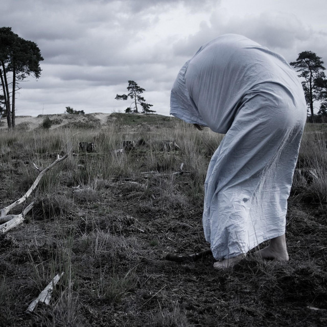 Shallow Pools of Grief