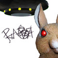 Pandrea