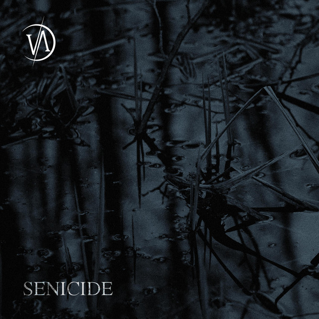 Senicide
