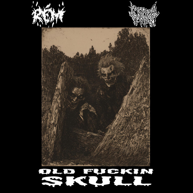 Old Fuckin Skull