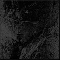 Hail Intoxication