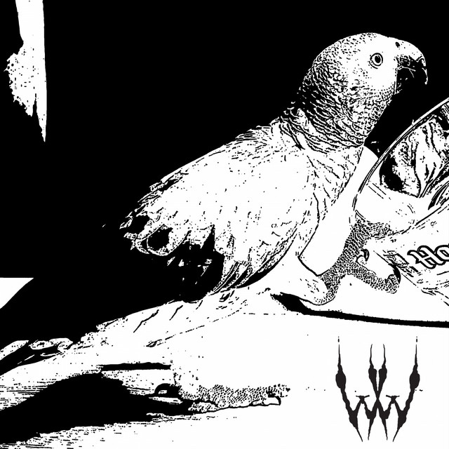 Nightbird (Live @ Les Fournaises)