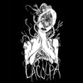Soil (Rough mix)
