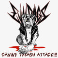 Canine Thrash Attack!!!