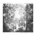 Nachtreich / Spectral Lore "The Quivering Lights"