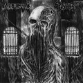 Split w. Spectral Voice