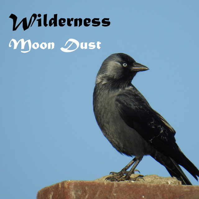Wilderness