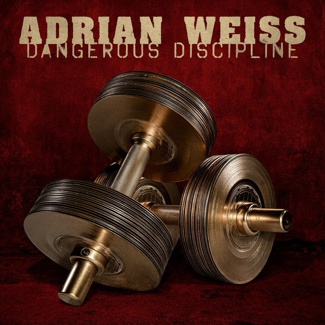 Dangerous Discipline