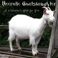 A Valentine's Gift for You