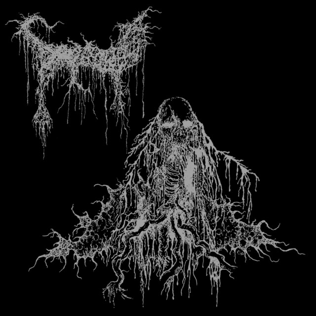 Swallowed