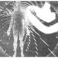 Ulterior Motion