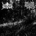 Split with Daedric Chamber