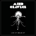 Mindcrawler live at 8below, Munich