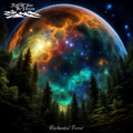 Enchanted Forest [Remastered]