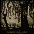 From the Black Ashes