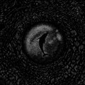7" Split