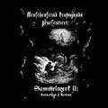 Thorns of Unforgiveness ( part of „ Sammelwerk 2 Leviathan/koloss“ released by Menschenfeindpropaganda