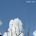 Goodbye, April
