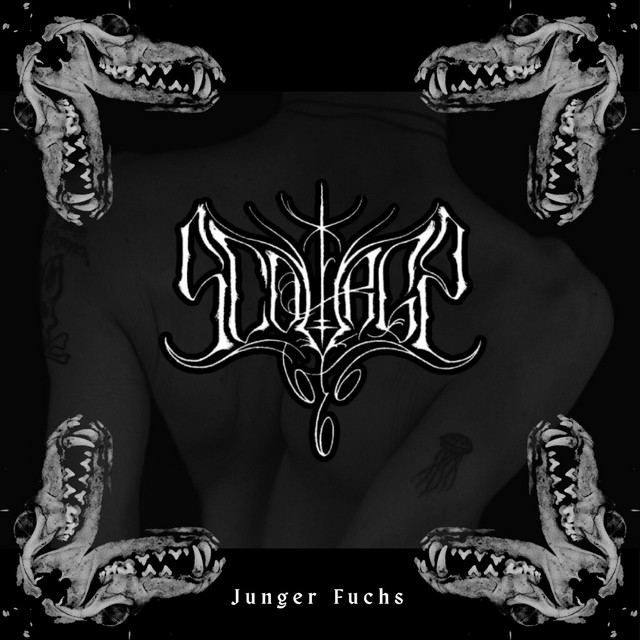 Junger Fuchs