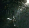 Ashes and Storm
