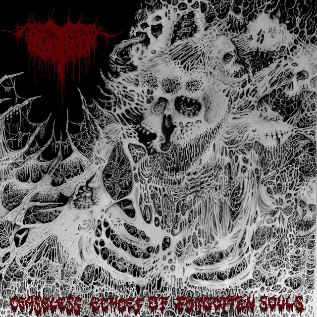 Ceaseless Echoes of Forgotten Souls