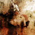 Amid Adversities (2011)