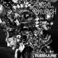 FLESHJUNK