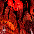 Split with SPEWN
