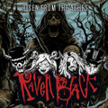 Risen From The Ashes - single