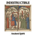 Indestructible