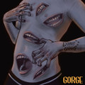 Gorge