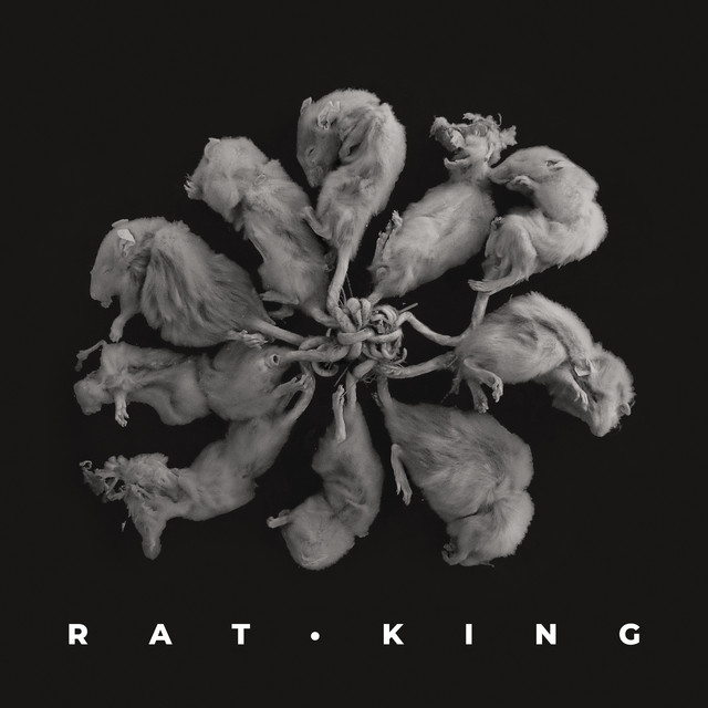 Rat King