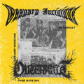 Outerkult - Ossuary Incisions