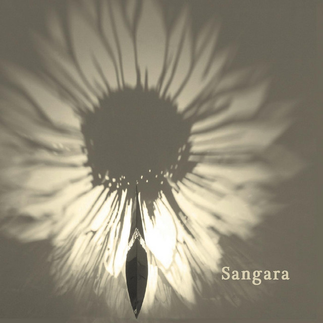 Light & Shadow