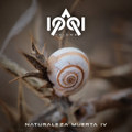 Naturaleza Muerta IV