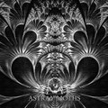 Astray Moths (single)