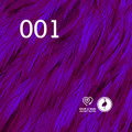 CRANE001 - Initial Breeding